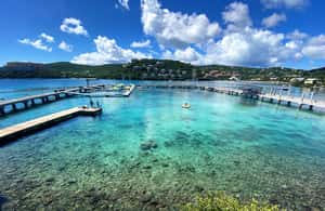 image n.4 of Saint Thomas: Swim with Dolphins at Coral World Ocean Park activity in Smith Bay, St Thomas, uploaded by supplier