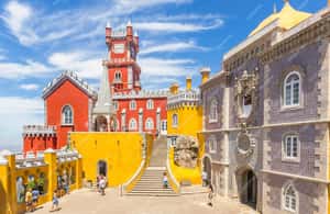 billede nr.3 af aktiviteten Lissabon: Privat tur til Sintra Pena-paladset og vingården i Sintra, uploadet af udbyder