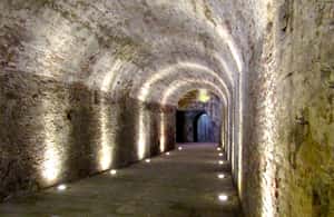 image n.3 of Lucca: Renaissance City Walls Walking Tour activity in Lucca, uploaded by supplier
