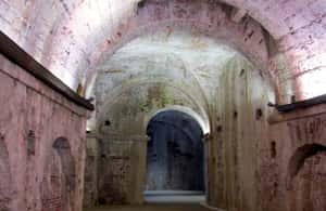 image n.4 of Lucca: Renaissance City Walls Walking Tour activity in Lucca, uploaded by supplier