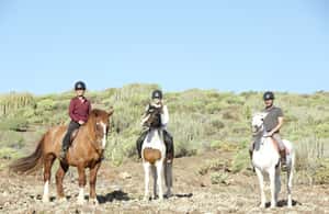 imagen n.º 3 de El Salobre: aventura a caballo con opciones de traslado actividad en Maspalomas, subida por el proveedor