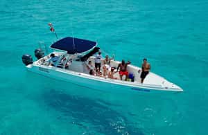 image n.4 of Cancún: Swim with Whale Sharks & Playa Norte Beach activity in Quintana Roo, uploaded by supplier