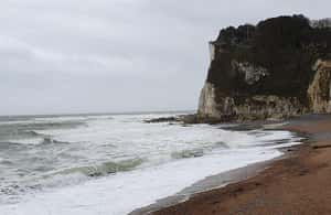 image n.3 of Private tours to Leeds Castle, Canterbury, White Cliffs activity in Canterbury, uploaded by supplier