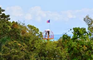 billede nr.3 af aktiviteten Fra San Juan: Zipline Canopy Adventure Tour i Río Grande, Puerto Rico, uploadet af udbyder