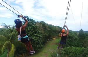 billede nr.4 af aktiviteten Fra San Juan: Zipline Canopy Adventure Tour i Río Grande, Puerto Rico, uploadet af udbyder