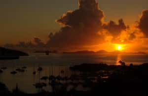 billede nr.4 af aktiviteten Champagne Sunset Sail fra Margaritaville Resort i Smith Bay, St. Thomas, uploadet af udbyder