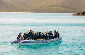 imagem n.3 de Airlie Beach: Whitsundays Full-Day Camira Sailing Adventure atividade em Queensland, carregada pelo fornecedor