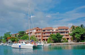 afbeelding n.4 van Puerto Aventuras: zwemmen met dolfijnen, zeeleeuwen, zeekoeien en lunch activiteit in Puerto Aventuras, geüpload door aanbieder
