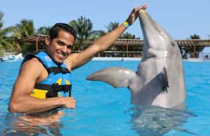 image n.3 of Riviera Maya: Dolphin Encounter with Beach Club Access activity in Quintana Roo, uploaded by supplier