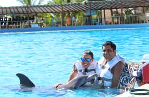 image n.4 of Riviera Maya: Dolphin Encounter with Beach Club Access activity in Quintana Roo, uploaded by supplier