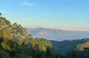 obrázok č. 3 aktivity Od Elly: Lipton Seat & Dambatenne Tea Factory Day Tour v destinácii Badulla, obrázok nahral dodávateľ