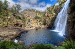 imagem n.3 de De Adelaide a Melbourne: Viagem Ultimate Overland de 3 dias atividade em Halls Gap, carregada pelo fornecedor
