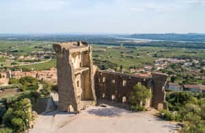 billede nr.3 af aktiviteten Avignon: Heldagstur til Châteauneuf du Pape-vine og Luberon i Lacoste, uploadet af udbyder
