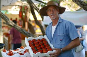 image n.4 of Eumundi Markets - Sunshine Coast and Noosa Bus Transfer activity in Eumundi, uploaded by supplier