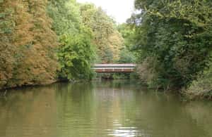 billede nr.3 af aktiviteten Leipzig: Skovtur ved floden på Pleiße i Nordtyskland, uploadet af udbyder