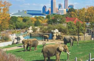 Indianapolis: 3-Day Indy Attraction Pass