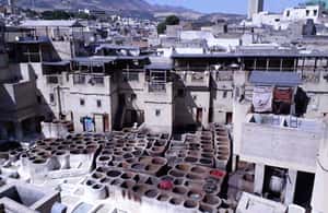 billede nr.4 af aktiviteten 3 dages tur rundt i Fes/Fez (med hotel og uden) i Fez, uploadet af udbyder