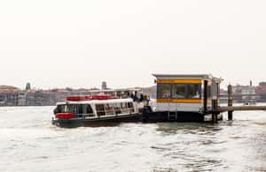 Immagine nº 4 di Venezia: City Pass con musei e trasporti pubblici attività a Venezia, caricata dal fornitore