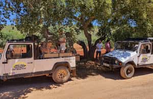 image n.4 of Albufeira: Safari Excursion in the Algarve Mountains activity in Alte, uploaded by supplier