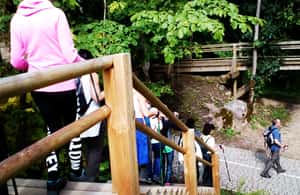 image n.3 of Gauja National Park Guided Hiking Tour activity in Amata Municipality, uploaded by supplier