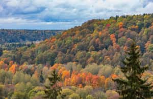 image n.4 of Gauja National Park Guided Hiking Tour activity in Amata Municipality, uploaded by supplier