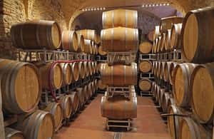 image n.3 of Lazise: Historical Center Wine Tasting Tour activity in Lombardy, uploaded by supplier
