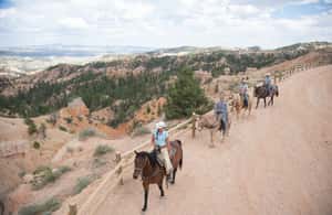 image n.4 of Bryce Canyon: Horseback Ride in the Dixie National Forest activity in Utah, uploaded by supplier