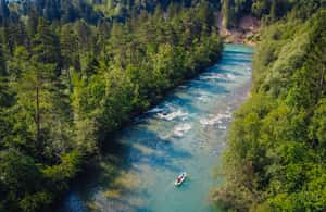 afbeelding n.3 van Bled: 3-uur gezinsvriendelijk raftingavontuur activiteit in Bled, geüpload door aanbieder
