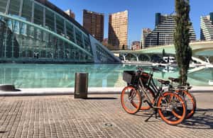 image n.3 of City of Arts & Sciences Tour on Bicycle, E-Bike or E-Step activity in Valencia, uploaded by supplier