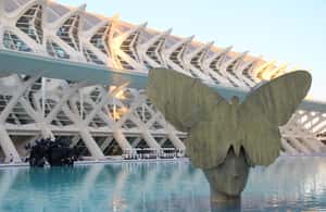 image n.4 of City of Arts & Sciences Tour on Bicycle, E-Bike or E-Step activity in Valencia, uploaded by supplier