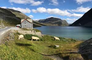 Immagine nº 4 di Geiranger: Dalsnibba, Flydalsjuvet, Eagle Bend e tour dei fiordi attività a Stranda, caricata dal fornitore
