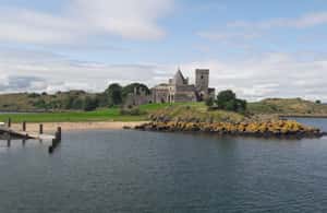 imagen n.º 3 de Queensferry: Crucero turístico a la isla de Inchcolm actividad en Fife, subida por el proveedor