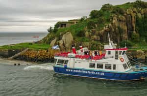 imagen n.º 4 de Queensferry: Crucero turístico a la isla de Inchcolm actividad en Fife, subida por el proveedor