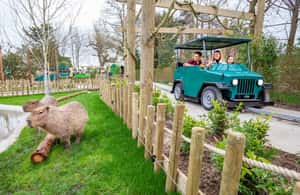 image n.3 of Chessington World of Adventures Resort: Entrance Ticket activity in London, uploaded by supplier