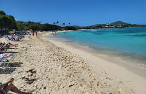 billede nr.3 af aktiviteten Saint Thomas: Halvdagstur med bjergbestigning og strandhopping i Red Hook, Saint Thomas, uploadet af udbyder