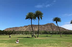 Bild Nr. 3 von Oahu: Diamond Head Sonnenaufgangswanderung mit Acai Bowl und Malasada Aktivität in Honolulu, hochgeladen vom Anbieter