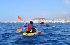 image n.4 of Tenerife: Kayak and Snorkel with Turtles with Free Videos activity in Los Cristianos, uploaded by supplier