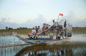 image n.3 of Sawgrass Park: Private 1-Hour Airboat Adventure Tour activity in Fort Lauderdale, uploaded by supplier
