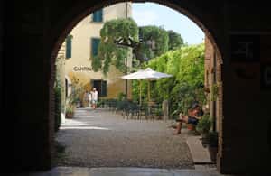 image n.4 of Lazise: Historical Center Wine Tasting Tour activity in Lombardy, uploaded by supplier