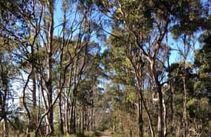 image n.4 of From Hobart: Bruny Island Adventure - Active Day Tour activity in Tasmania, uploaded by supplier