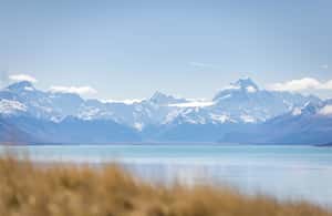 image n.4 of Mount Cook & Lake Tekapo Day Tour from Christchurch activity in South Island, uploaded by supplier