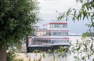 imagen n.º 3 de Biesbosch: Crucero en barco por el Parque Nacional actividad en Drimmelen, subida por el proveedor