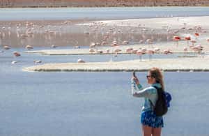 image n.3 of La Paz: Uyuni Salt Flats & San Pedro de Atacama 3-Day Tour activity in Sur Lipez Province, uploaded by supplier