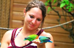 imagem n.4 de Falmouth: excursão guiada pelo Adventure Park em quadriciclo com almoço atividade em Clarendon, carregada pelo fornecedor