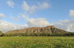 Immagine nº 3 di Oahu: Escursione a Diamond Head con trasporto di andata e ritorno attività a Honolulu, caricata dal fornitore
