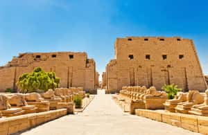 imagem n.4 de De Luxor: Cruzeiro de 3 noites no Nilo para Aswan e balão de ar quente atividade em Luxor, carregada pelo fornecedor