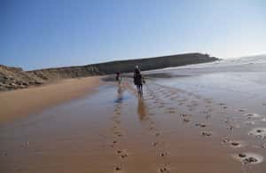 image n.3 of From Essaouira: 2h Horseback Ride with Sunset activity in Essaouira, uploaded by supplier