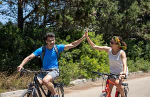 Immagine nº 4 di Lecce: Noleggio Bici (City, Trekking, E-Bike) attività a Lecce, caricata dal fornitore