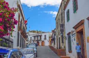 imagem n.3 de Punta Cana: viagem de um dia a Santo Domingo com ingressos e almoço atividade em Santo Domingo Este, carregada pelo fornecedor
