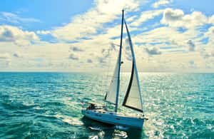 image n.3 of Maddalena Archipelago: Island-Hopping Sailing Tour and Lunch activity in Sardinia, uploaded by supplier